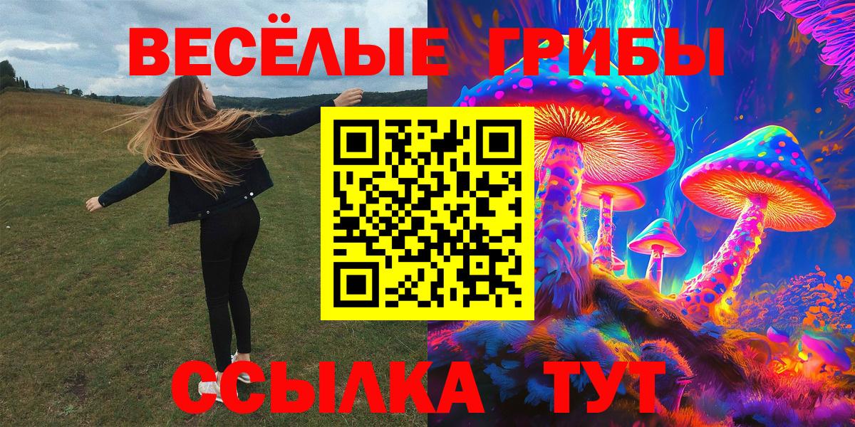 Галлюциногенные грибы Cubensis Темрюк