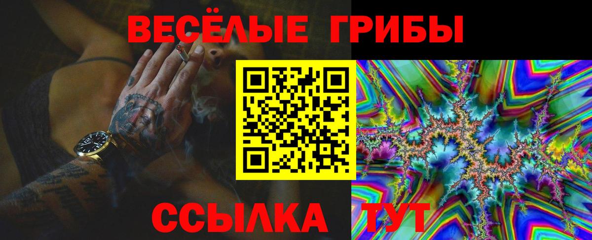 Темрюк  Псилоцибиновые грибы прущие грибы  Вход с VPN 
